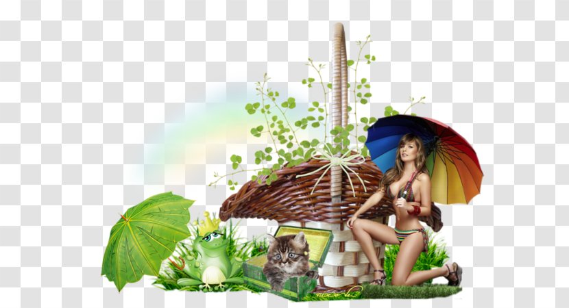 Fairy Organism - Fictional Character Transparent PNG
