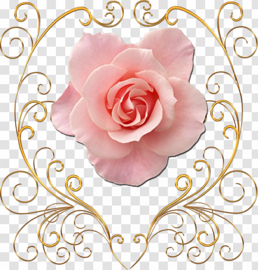 Flower Gold Clip Art - Cartoon Transparent PNG