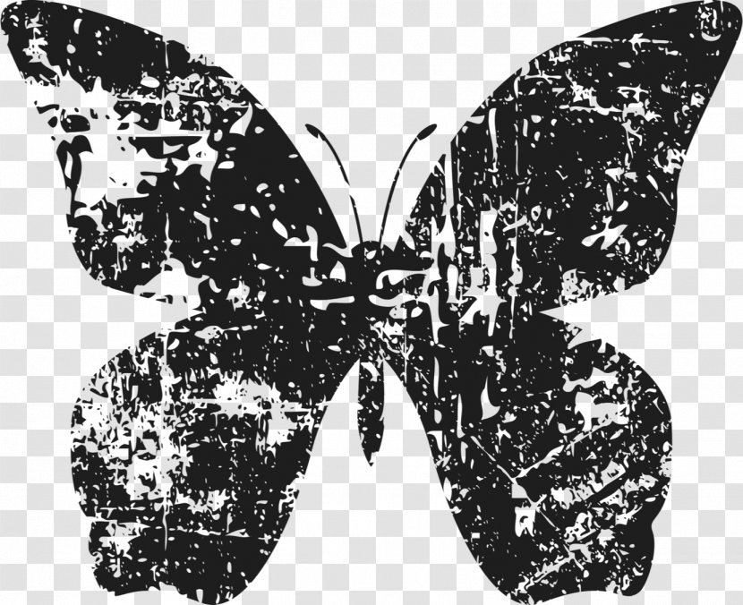 Brush-footed Butterflies Group 42, Inc. Butterfly Moth Symmetry Transparent PNG