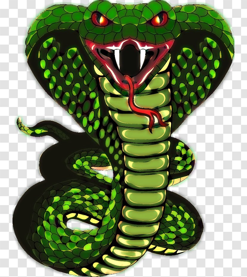 Snake Scale King Cobra Transparent PNG