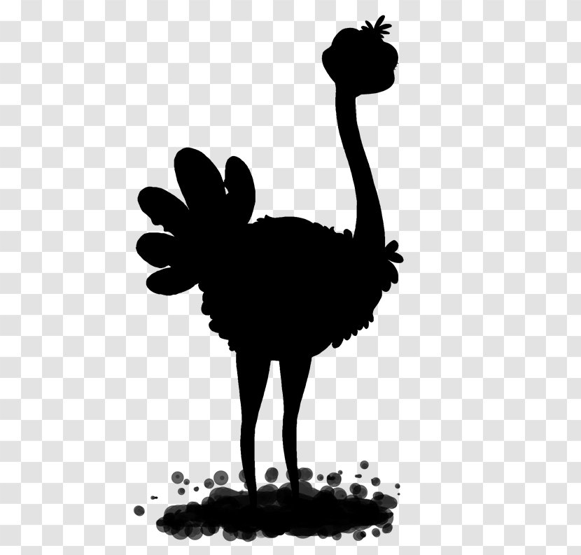 Common Ostrich Chicken Emu Bird Rooster - Art - Beak Transparent PNG