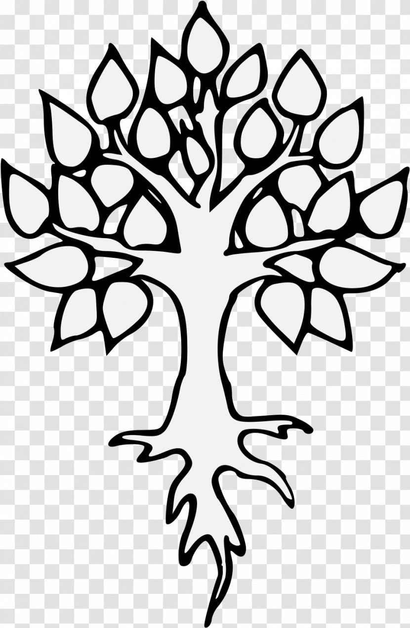 Oak Tree Drawing - Root - Symmetry Stencil Transparent PNG