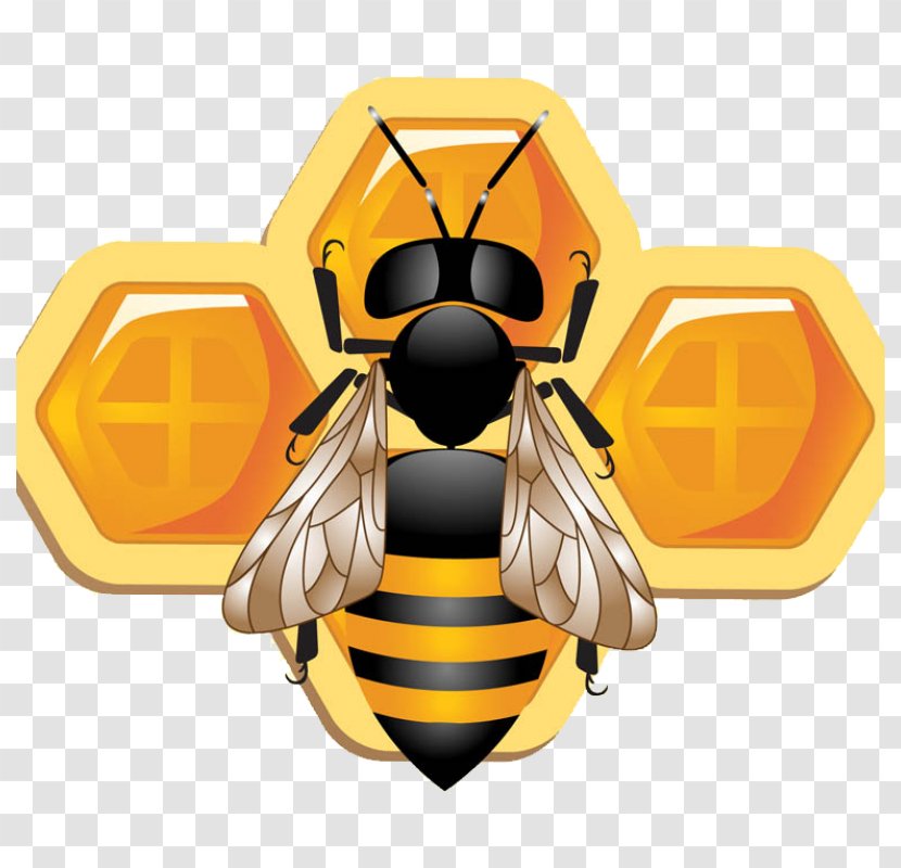 Bee Illustrator - Adobe Creative Cloud Transparent PNG