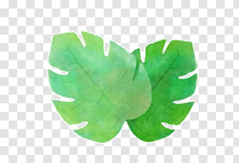Plant Leaf Euclidean Vector Adobe Illustrator - Watercolor Painting - Leaves Transparent PNG