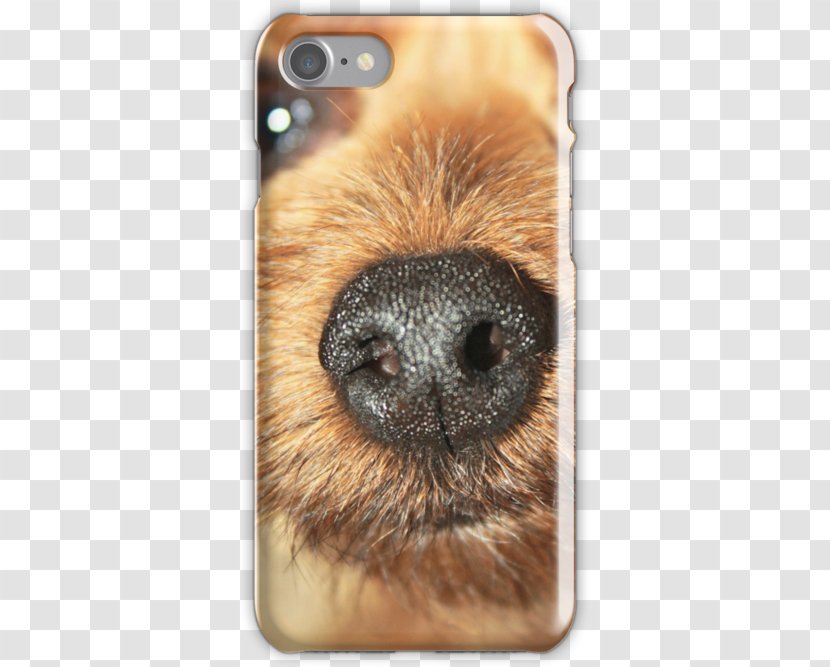 Nose Whiskers Telephone Samsung Galaxy Snout - Rodent - People Transparent PNG