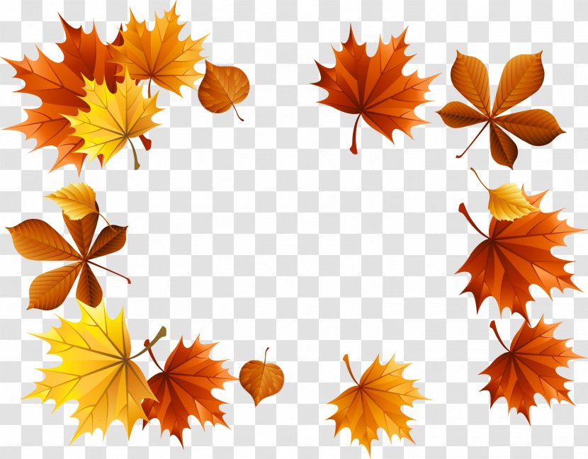 Autumn Leaf Clip Art - Tree - Maple Transparent PNG