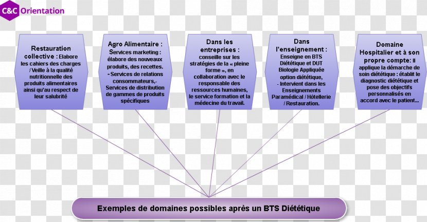 Advanced Vocational Diploma Dietitian Dietetica Nutrition Brevet De Technicien Supérieur - Food Industry - NotariatBts Memes Transparent PNG