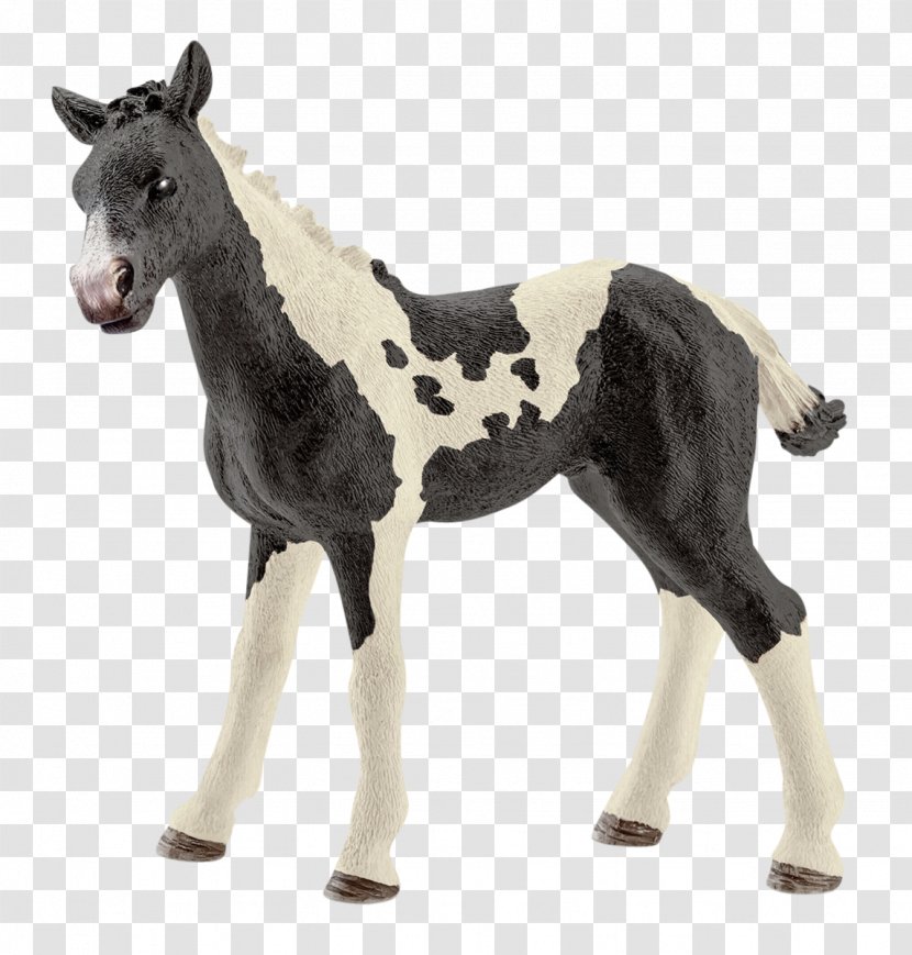 Foal Gypsy Horse American Paint Andalusian Appaloosa - Terrestrial Animal - Toy Transparent PNG