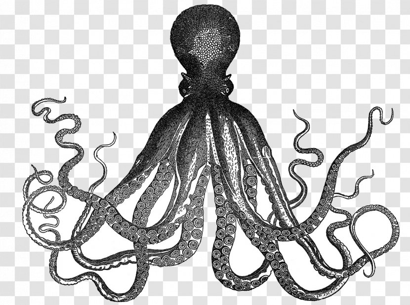 Octopus Kraken Etsy Clip Art - Octapus Transparent PNG