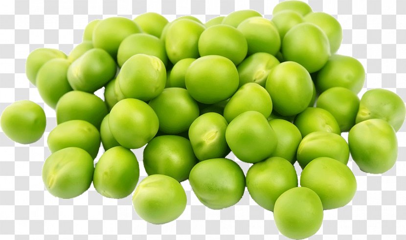 Green Pea Vegetable Bean Black-eyed Fruit - Lima Transparent PNG