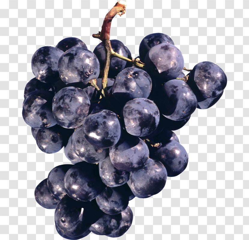 Common Grape Vine Concord Sultana Juice - Damson Transparent PNG