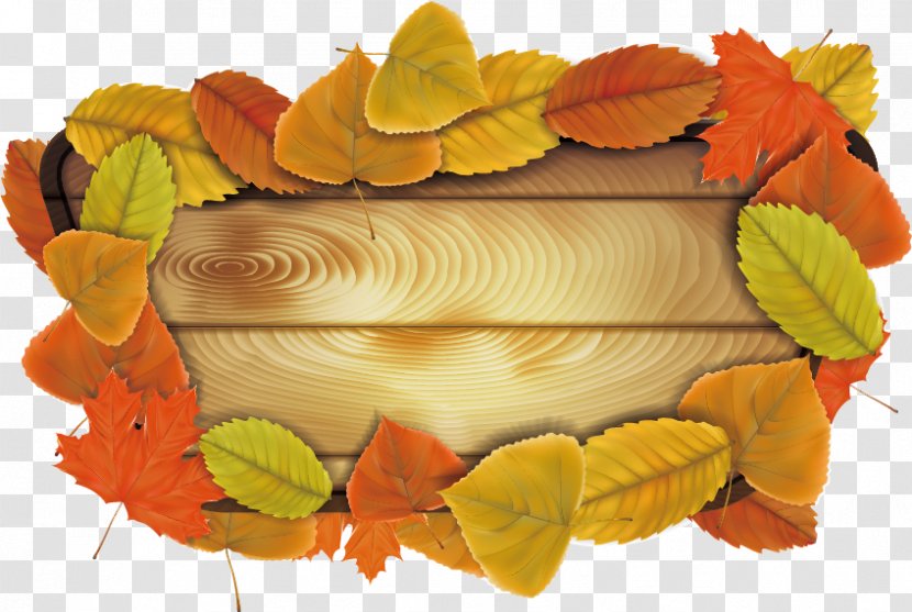 Autumn Leaf Illustration - Leaves Material Transparent PNG