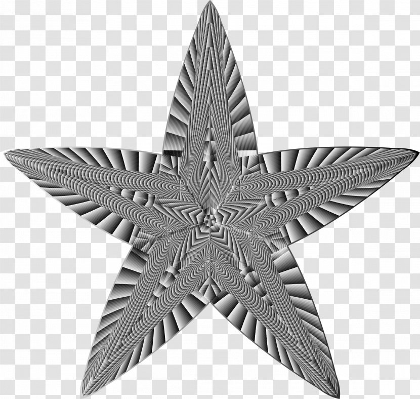 Starfish Clip Art - Monochrome - 5 Star Transparent PNG