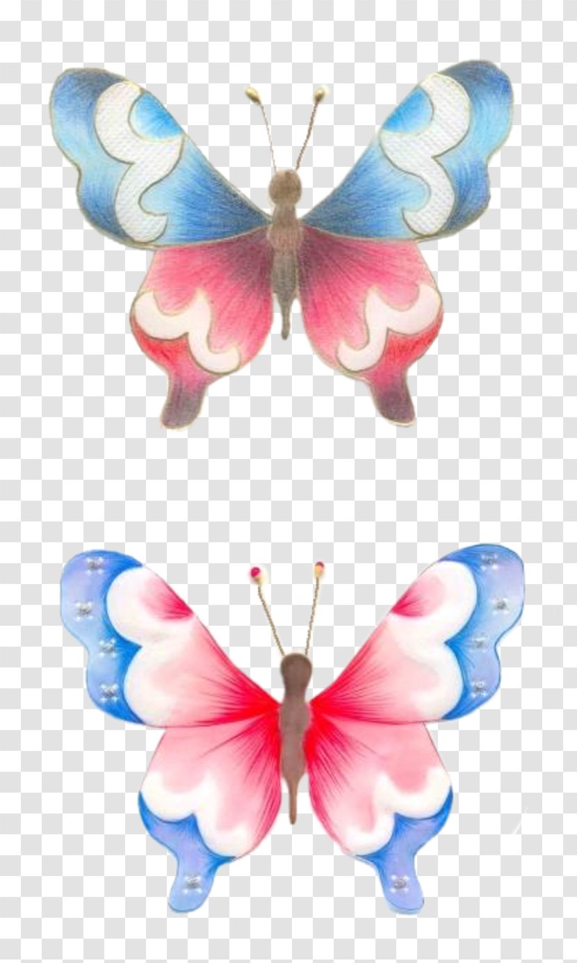 Moth Symmetry - Insect - Papillon Transparent PNG