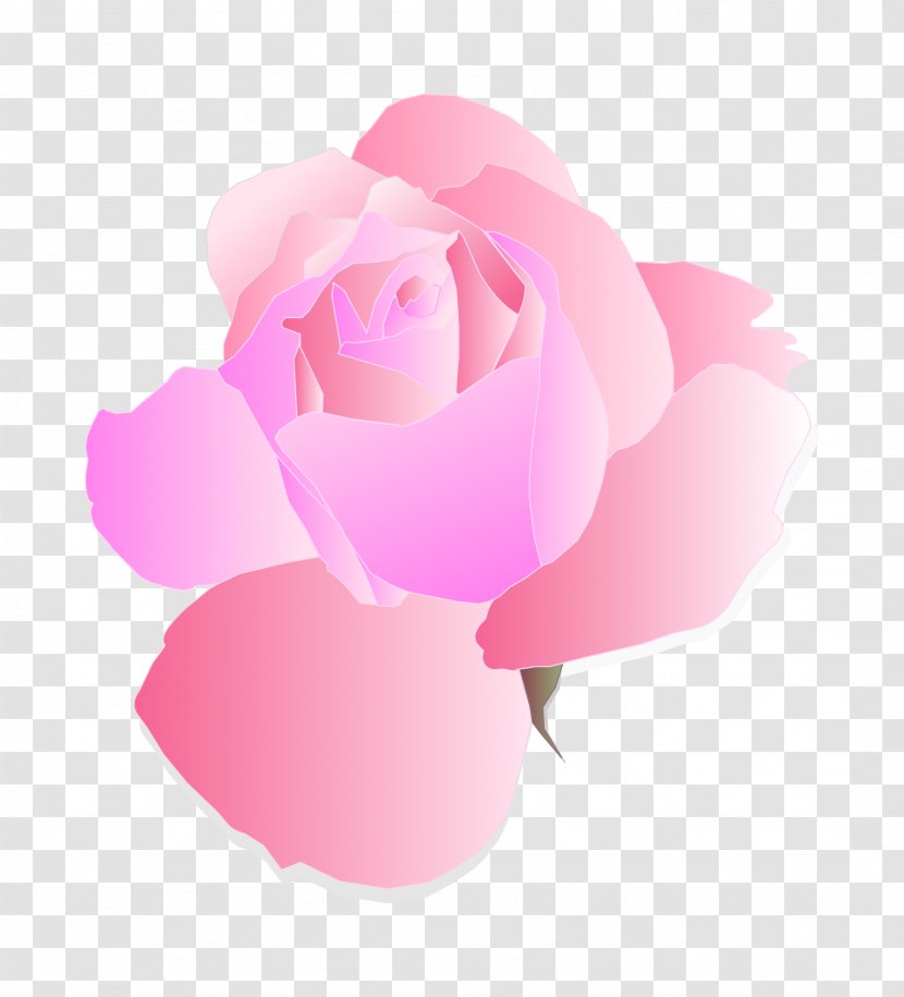 Rose Pink Free Clip Art - Flower Transparent PNG