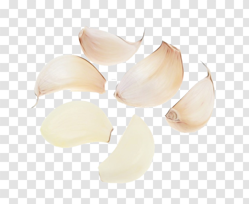 Garlic Shallot Transparent PNG