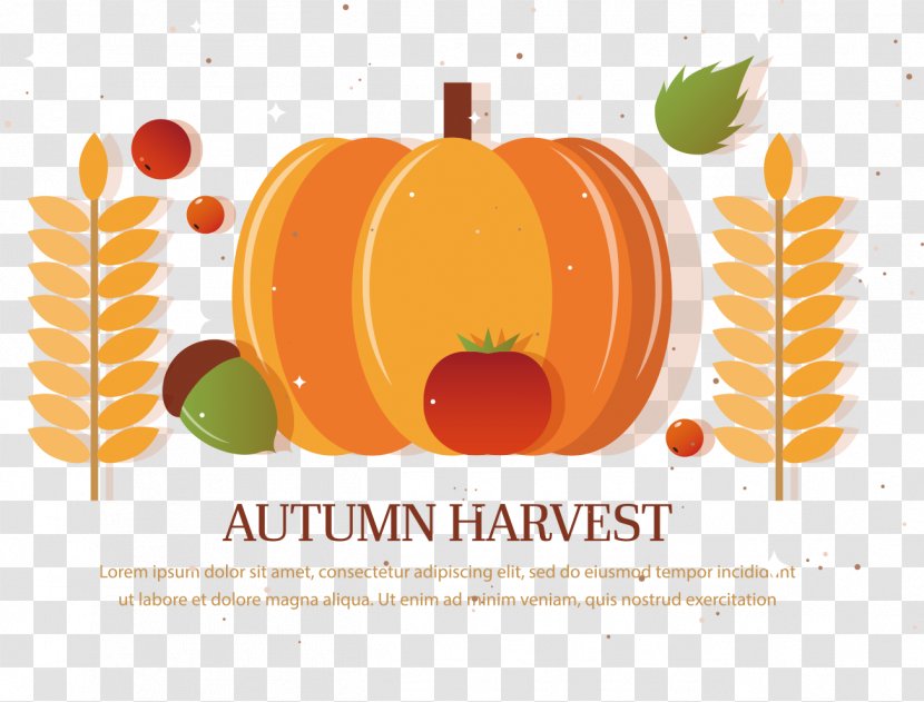 Autumn Harvest Thanksgiving - Season - Pumpkin Transparent PNG