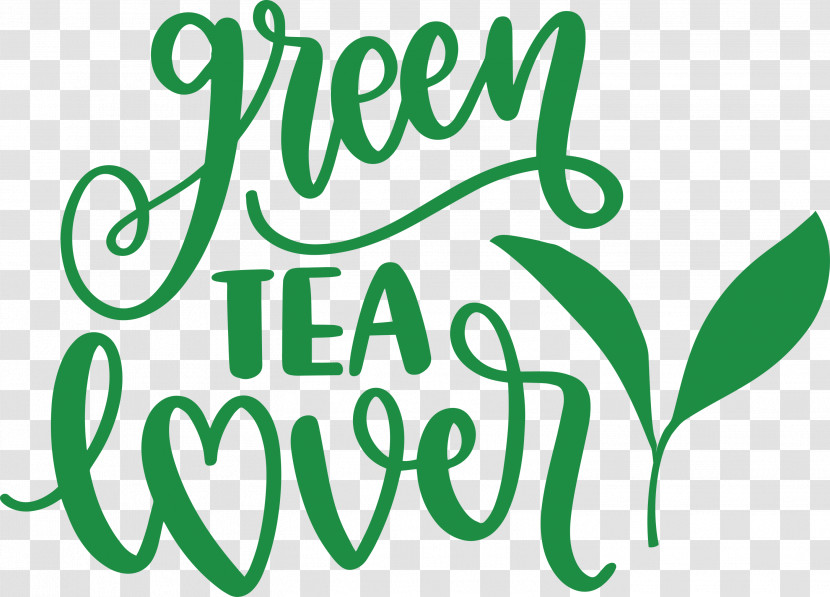 Green Tea Lover Tea Transparent PNG