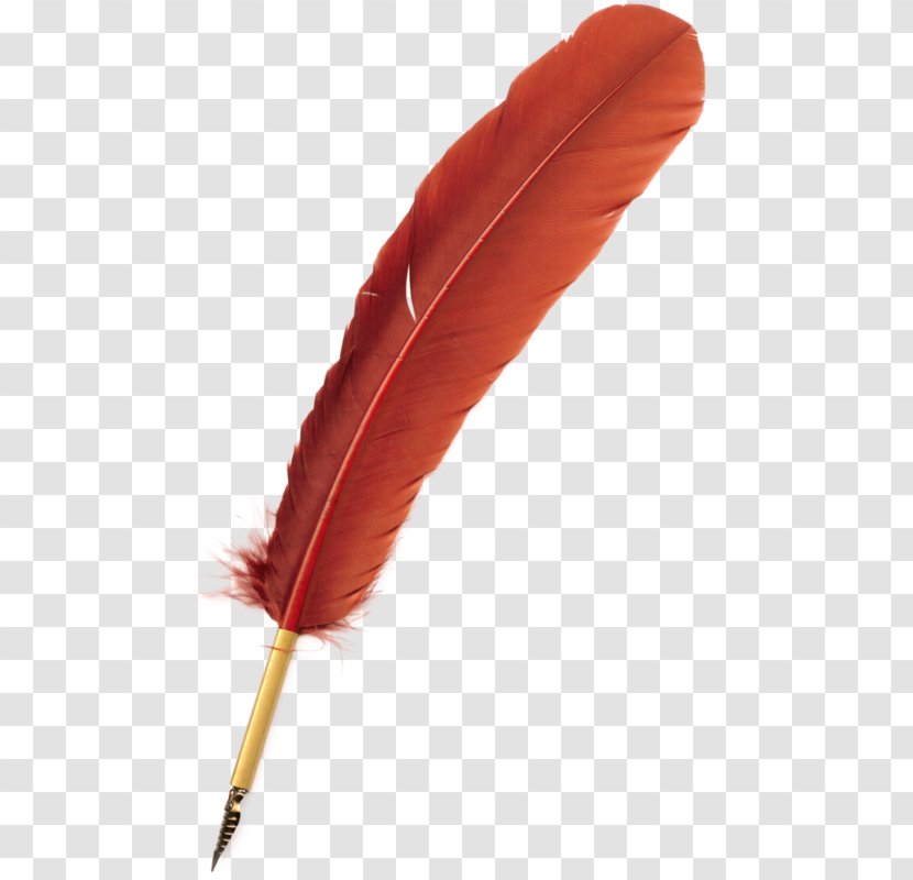 Quill Clip Art Feather Image - Pen - Red Magnolia Transparent PNG