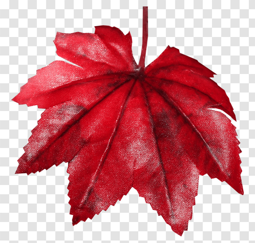 Maple Leaf Transparent PNG