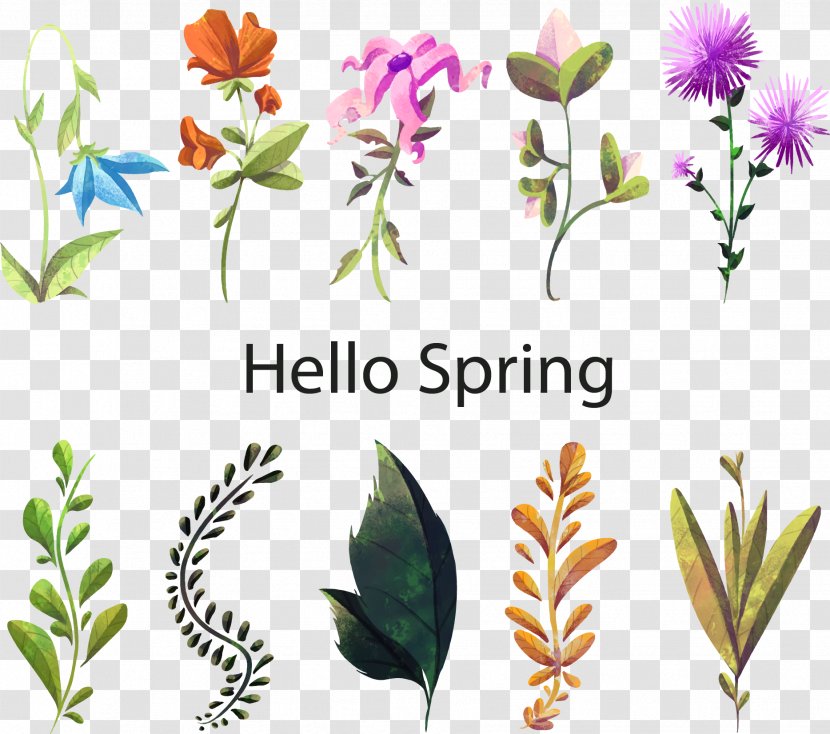 Floral Design Watercolor Painting Flower Plant - Stem - Hello Spring Flowers Transparent PNG