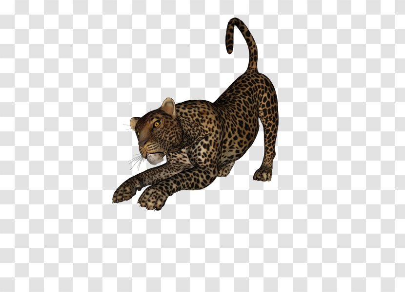 Leopard Cheetah Cougar Tiger Animal - Puma - Persian Transparent PNG