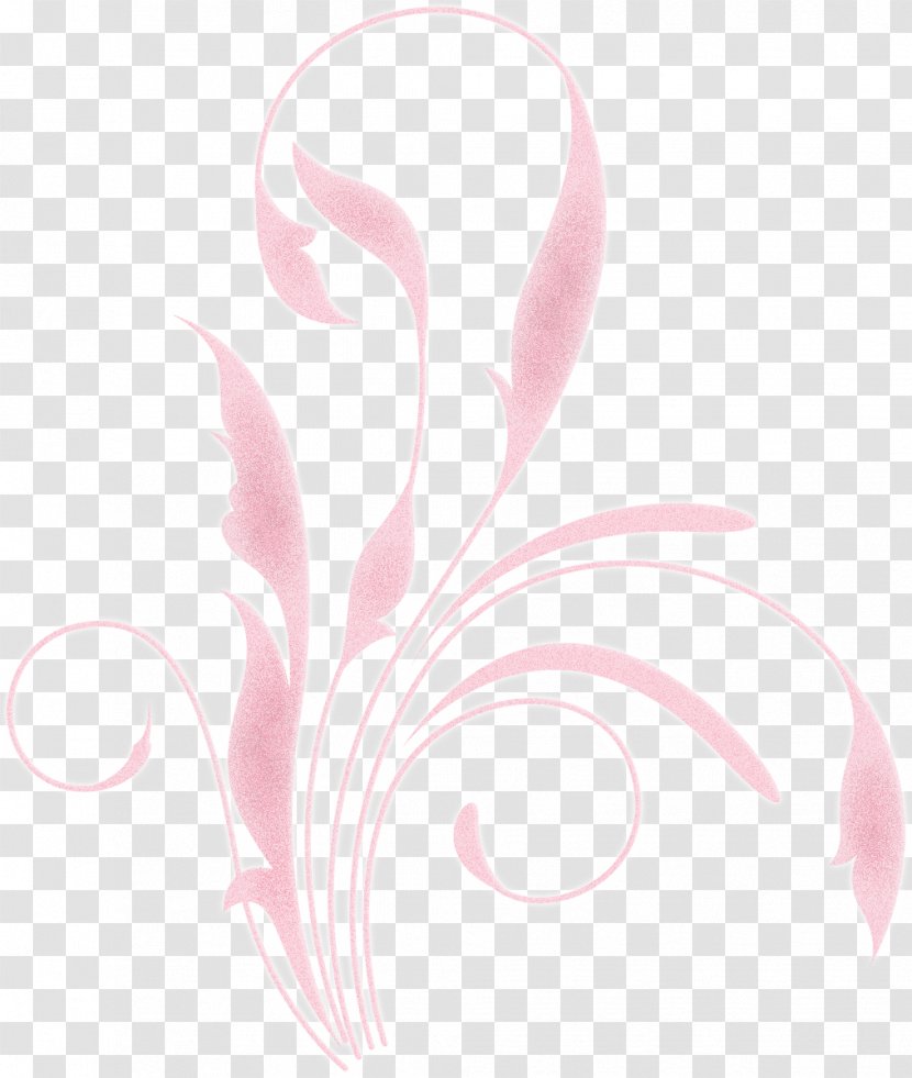 Drawing Nose Feather Desktop Wallpaper Pink M - Neck Transparent PNG