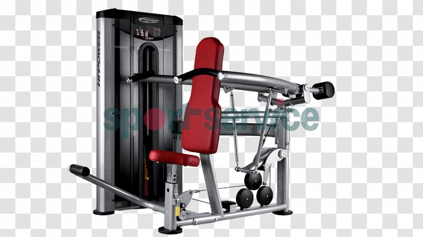 Overhead Press Strength Training Fitness Centre Biceps Curl Chin-up - Structure - Physical Transparent PNG