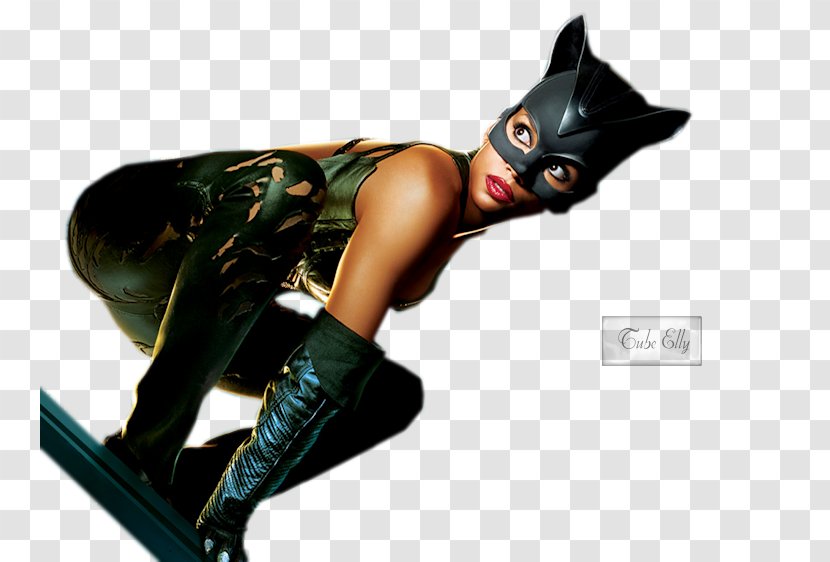 Catwoman Patience Phillips Film Female Golden Raspberry Awards - Actor - Painted Eel Transparent PNG