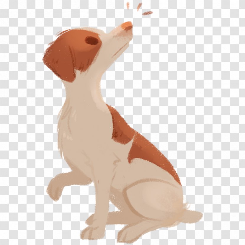 Dog Breed Puppy Canidae Mammal - Pantheon Transparent PNG