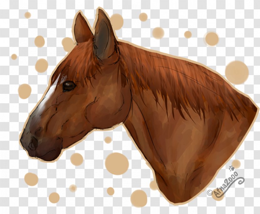 American Quarter Horse Stallion Pony Head Mask Animation - Tack - Shading Clipart Transparent PNG