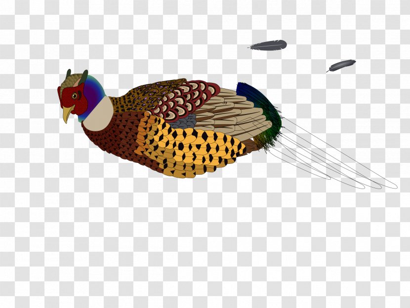 Bird Pheasant Clip Art - Galliformes Transparent PNG