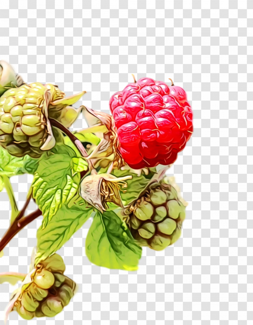 Raspberry Natural Foods Superfood Transparent PNG