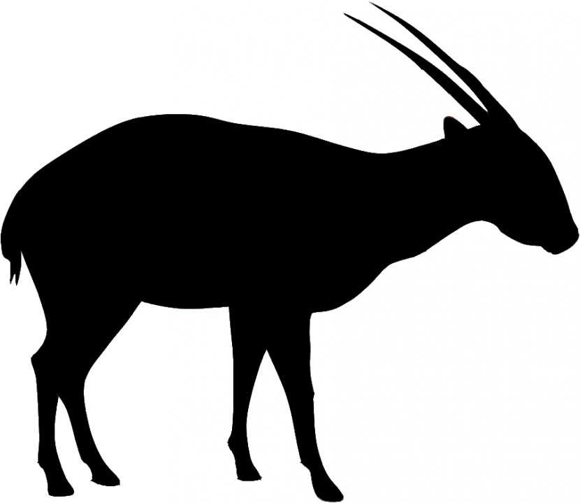 Antelope Saola Annamite Range Gemsbok Bovid - Animal Transparent PNG