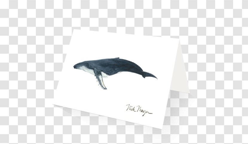 Dolphin Humpback Whale Painting Cetaceans Transparent PNG