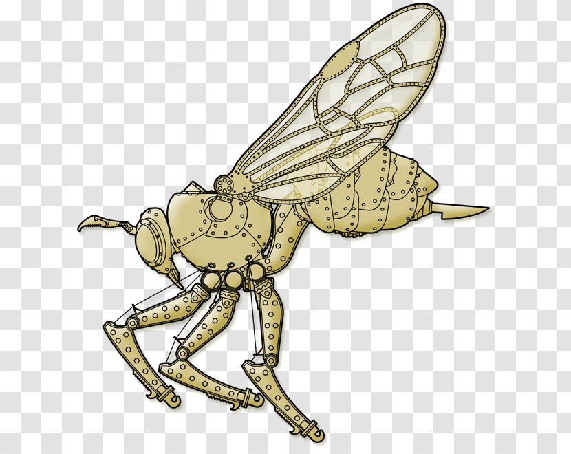 Honey Bee Hornet Steampunk Wasp Transparent PNG