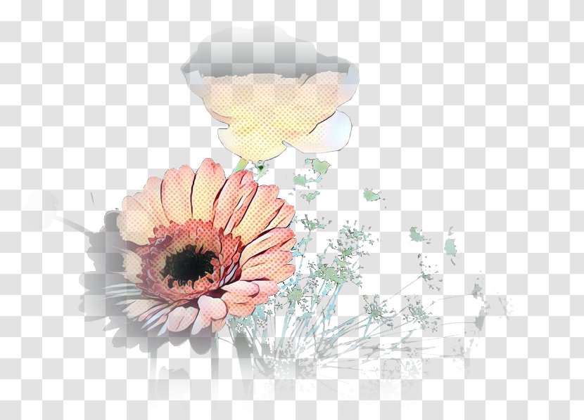 Transvaal Daisy Illustration Floral Design Desktop Wallpaper - Gerbera - Petal Transparent PNG