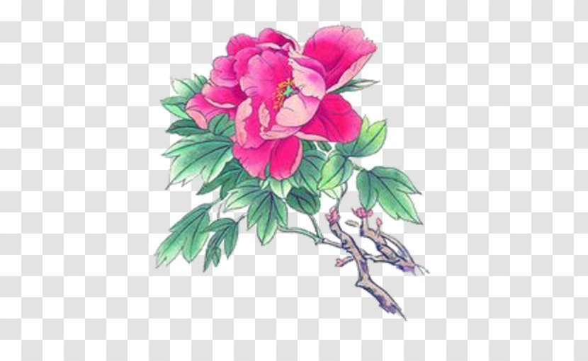 Moutan Peony Chinese Painting Gongbi Bird-and-flower Ink Wash - Poster - Flowers Transparent PNG
