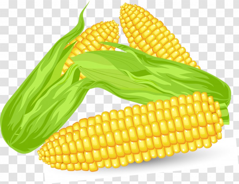 Corn On The Cob Candy Maize - Drawing - Ear Transparent PNG