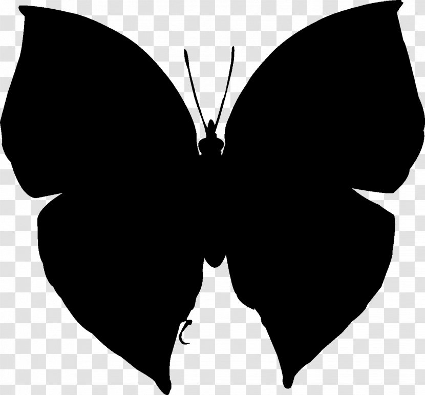 Brush-footed Butterflies Clip Art Silhouette Neck Black M - Logo - Moths And Transparent PNG
