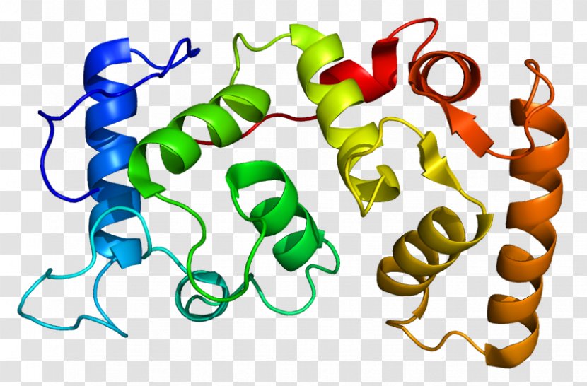CIB1 Integrin Protein Gene Thrombopoietin - Frame - Silhouette Transparent PNG