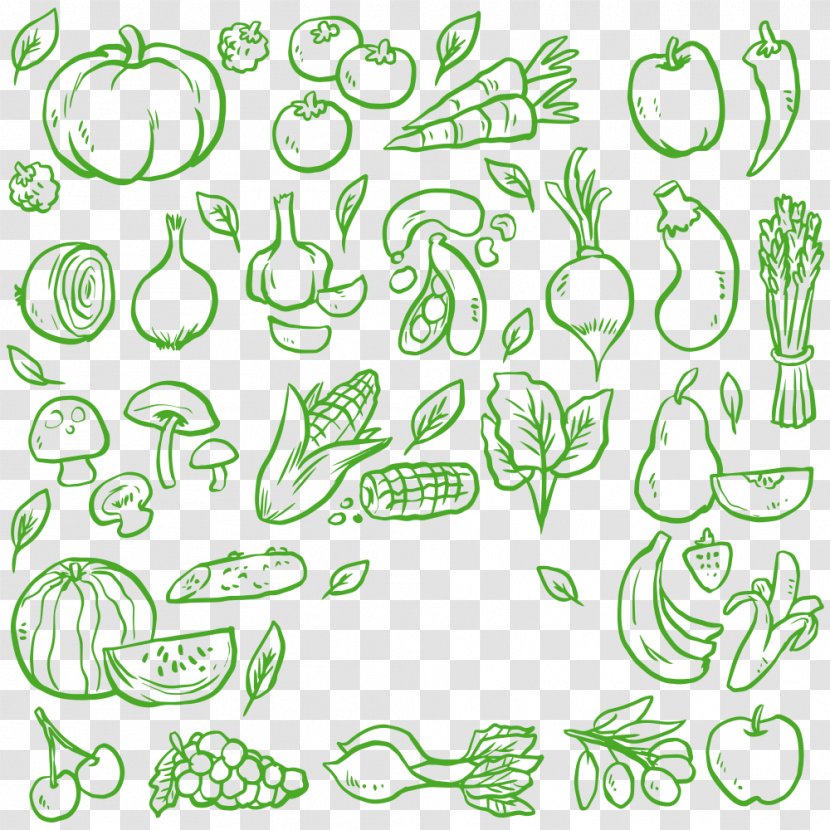 Vegetable Green Food - Stock - Material Transparent PNG