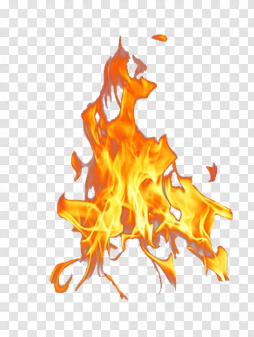 Image Transparent Fire By Lourdes Javier Photography Flame - Art - Picsart Transparent PNG