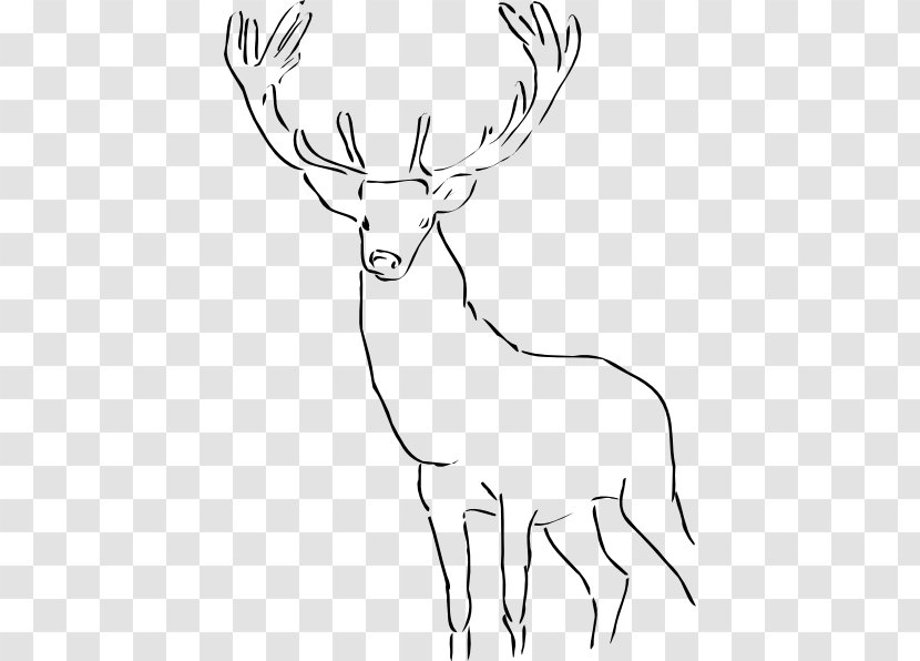 Deer Drawing Clip Art - Head Silhouette Transparent PNG