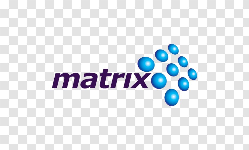 Israel Matrix International Financial Services Information Technology Startup Company - Organization Transparent PNG