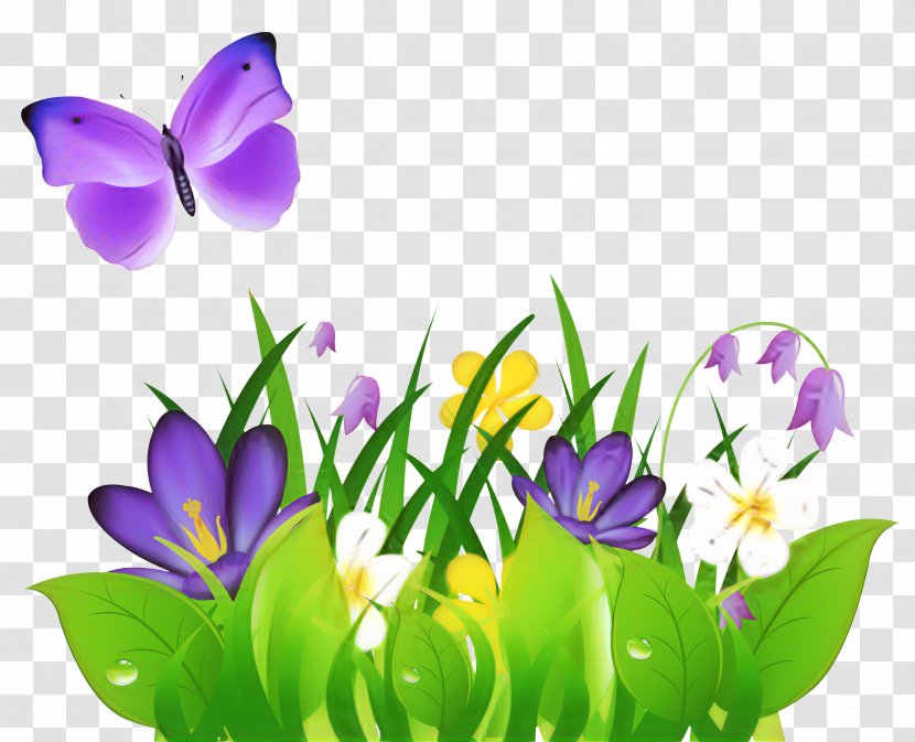Clip Art Flower Free Content Image - Violet Family - Flowering Plant Transparent PNG