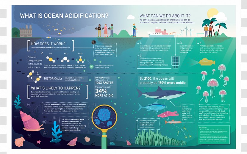 Ocean Acidification Global Warming Carbon Dioxide - Sea - Seawater Transparent PNG