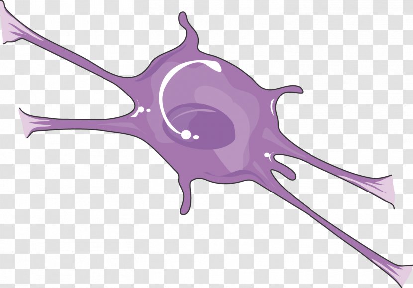 Central Nervous System Brain Cell Spinal Cord - Silhouette Transparent PNG