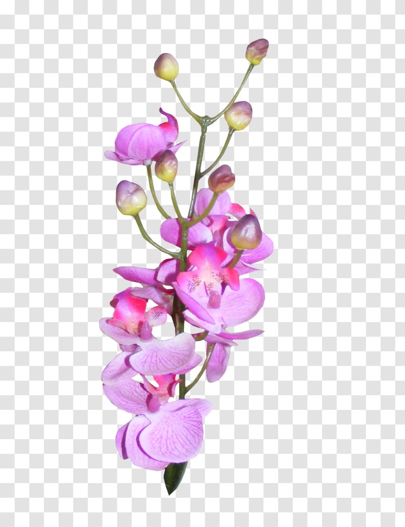 Purple Orchids - Floral Design - Flowering Plant Transparent PNG