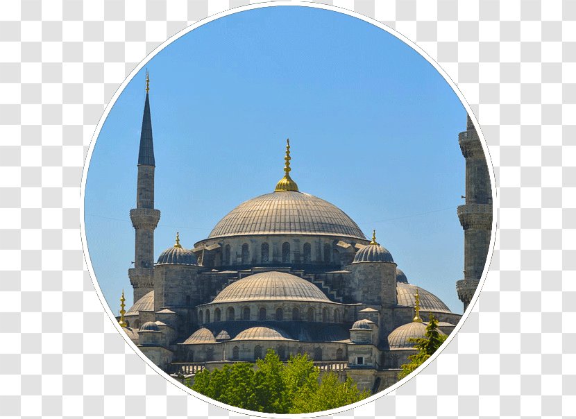 Sultan Ahmed Mosque Bee Tree Flower - Building - Istanbul Transparent PNG